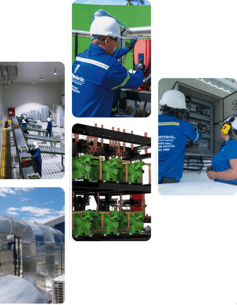 Expertos en refrigeración industrial